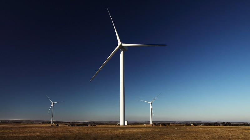Reč stručnjaka o uticaju vetroelektrana na životnu sredinu